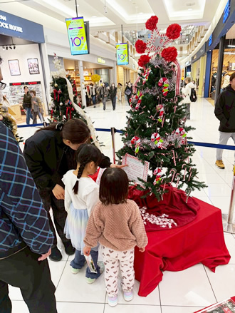 『地域の想いが輝く　クリスマスツリーフェスタ2025』が開催されました。